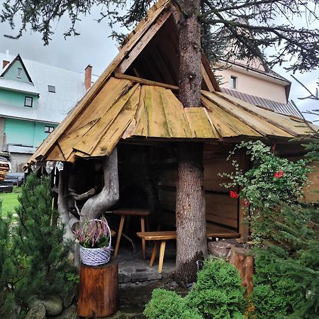 Pokoje Malgorzatka ザコパネ エクステリア 写真